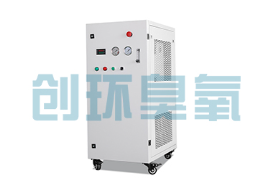 西安石斑鱼养殖水质调控完整指南:臭氧发生器配置与操作步骤