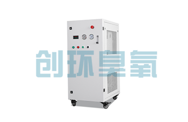 西安比传统换水更高效?臭氧发生器在石斑鱼养殖中的水质净化原理解析