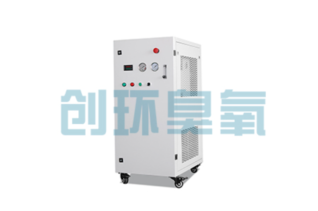 西安比传统换水更高效?臭氧发生器在石斑鱼养殖中的水质净化原理解析